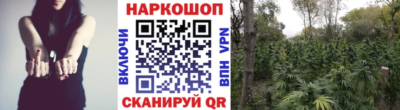 Наркошоп купить ГАШИШ Марихуана A PVP Codein Кокаин Мефедрон Кузнецк