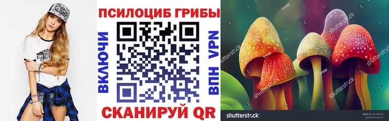 Купить где  Кузнецк  Псилоцибиновые грибы MAGIC MUSHROOMS 